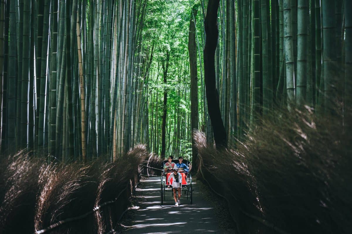 Japanese women in the Arashiyama Bamboo Grove in Kyoto Japan