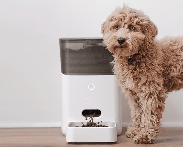 The Petnet SmartFeeder feeds your dog when you are not there.