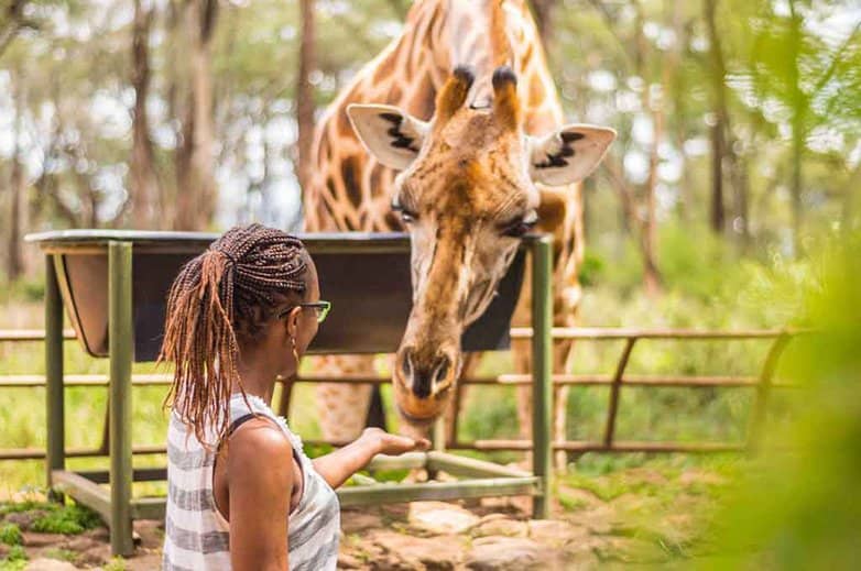 destination wedding africa